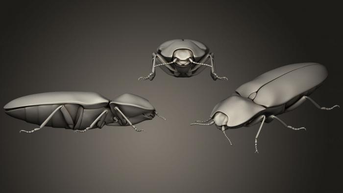 Insects (INSCT_0052) 3D model for CNC machine